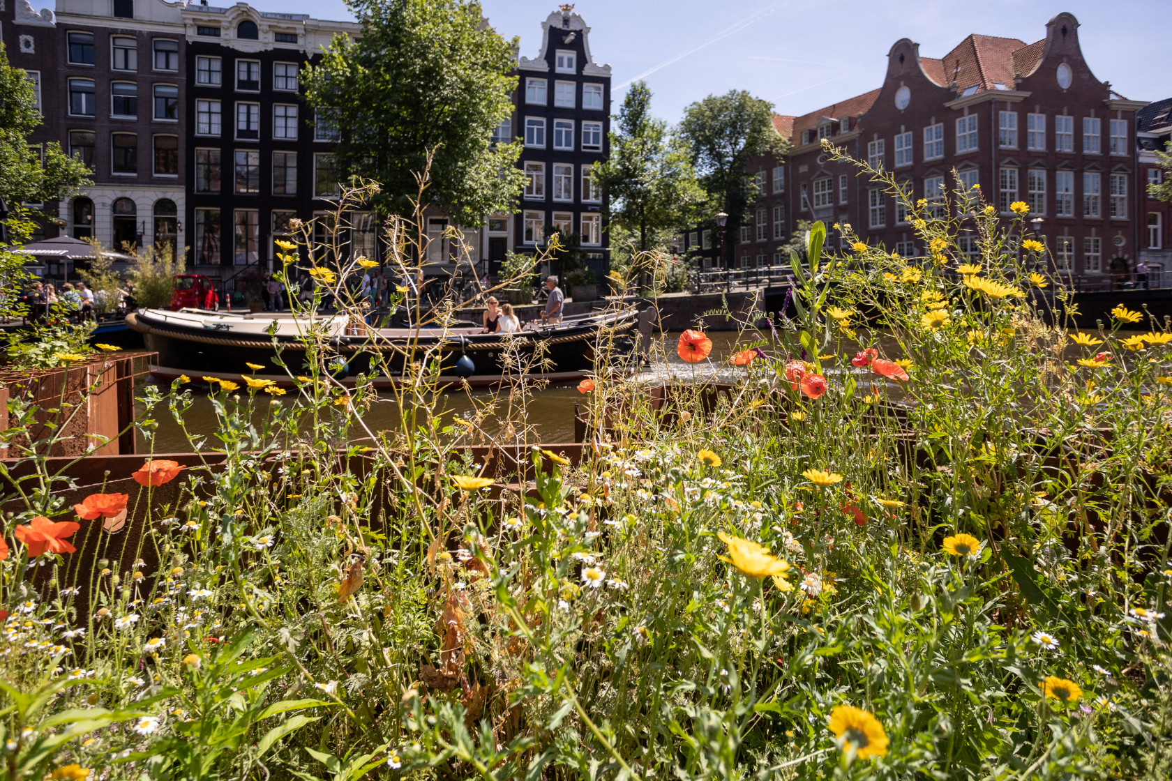 Groene planten en bloemen op een kadeversterking aan de Kloveniersburgwal