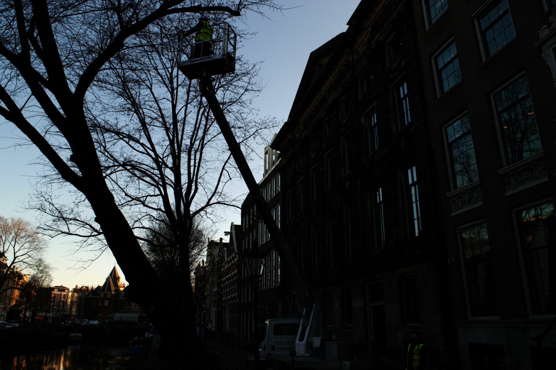 Man in hoogwerker bij boom aan Amsterdamse kade