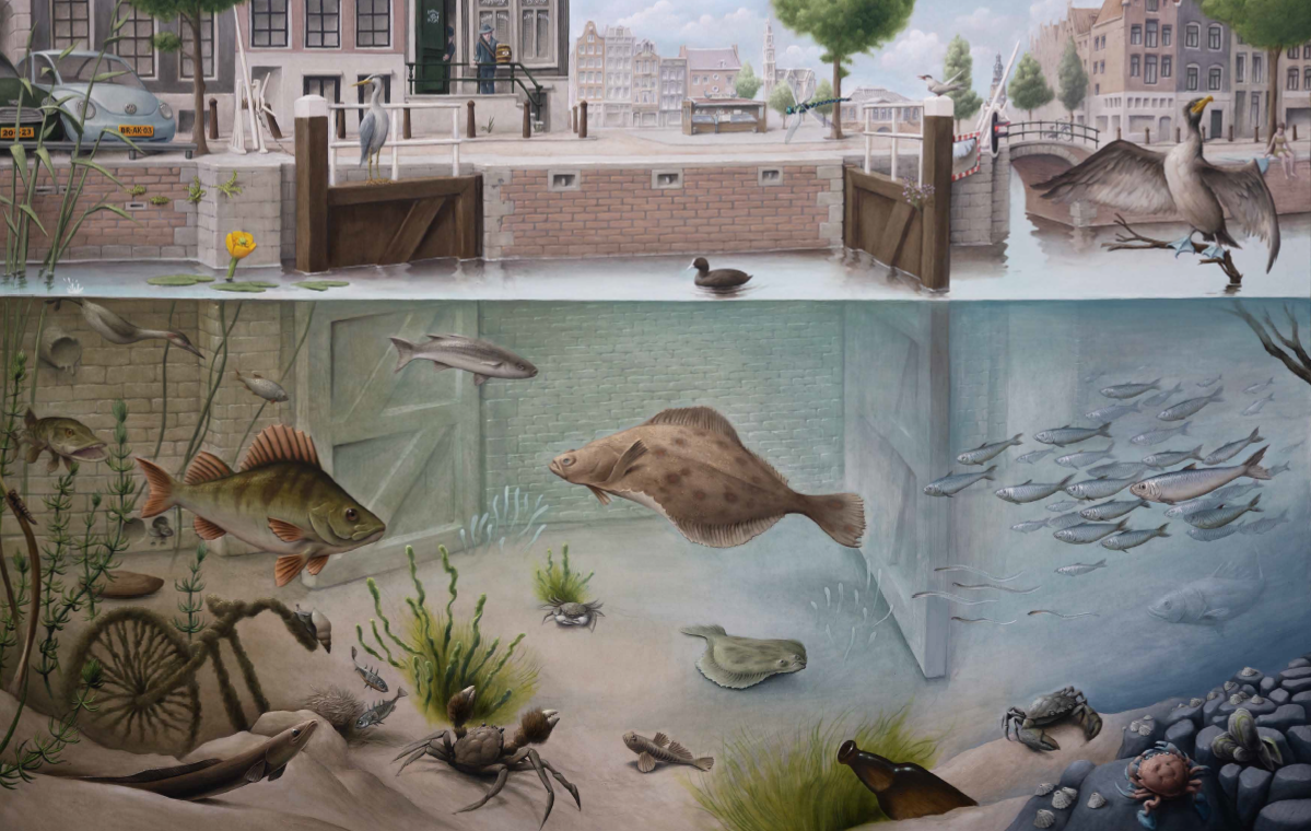 Illustratie van leven op, rond en onder water in een Amsterdamse gracht, met vissen en krabben, een fiets en een fles