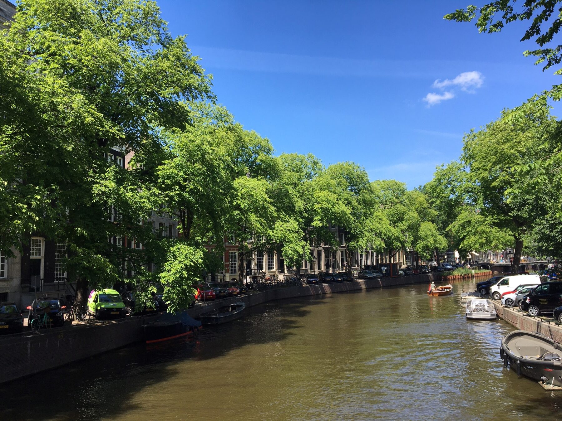 Rij iepen in een bocht aan de Herengracht