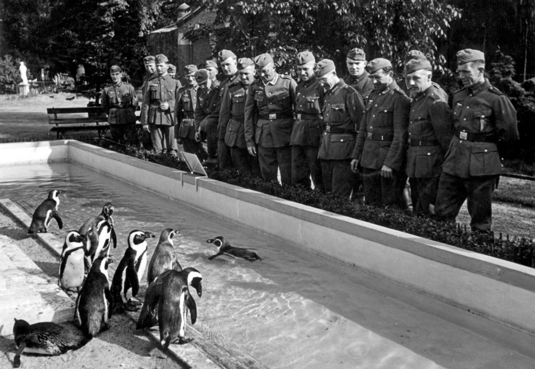 Duitse soldaten bezoeken de dierentuin (foto: Spaarnestad Photo)