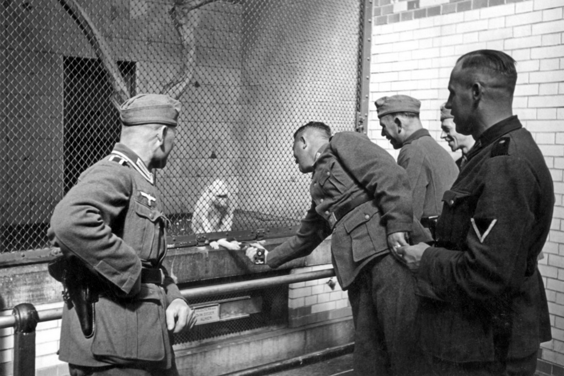 Duitse soldaten bekijken het apenhuis (foto: Spaarnestad Photo)