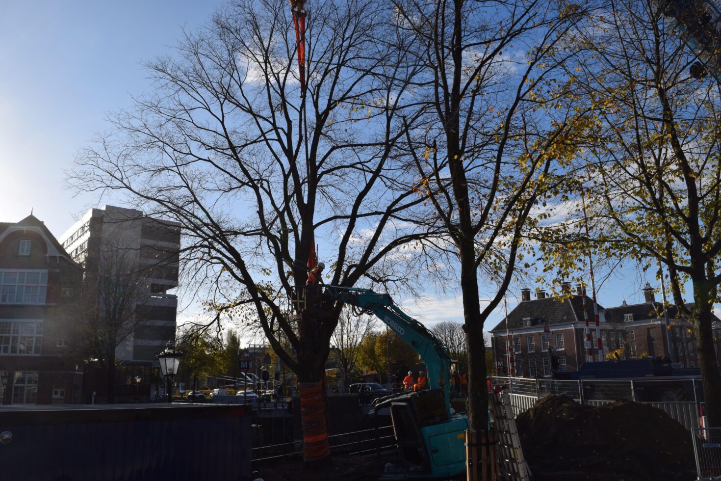 Een man in een hoogwerker doet de laatste voorbereidingen voor het hijsen van de boom.
