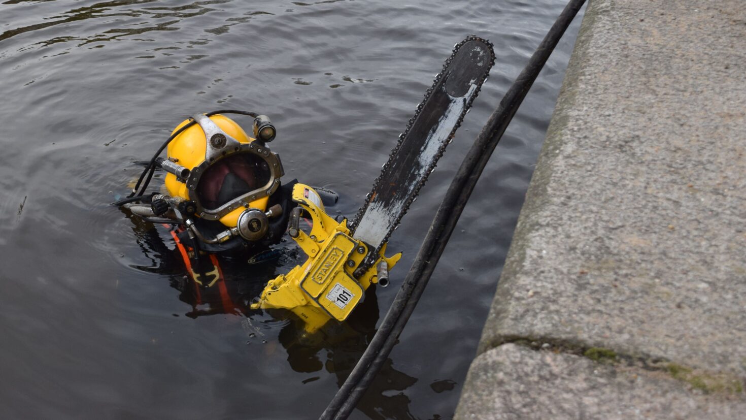 Duiker in gracht met zaag