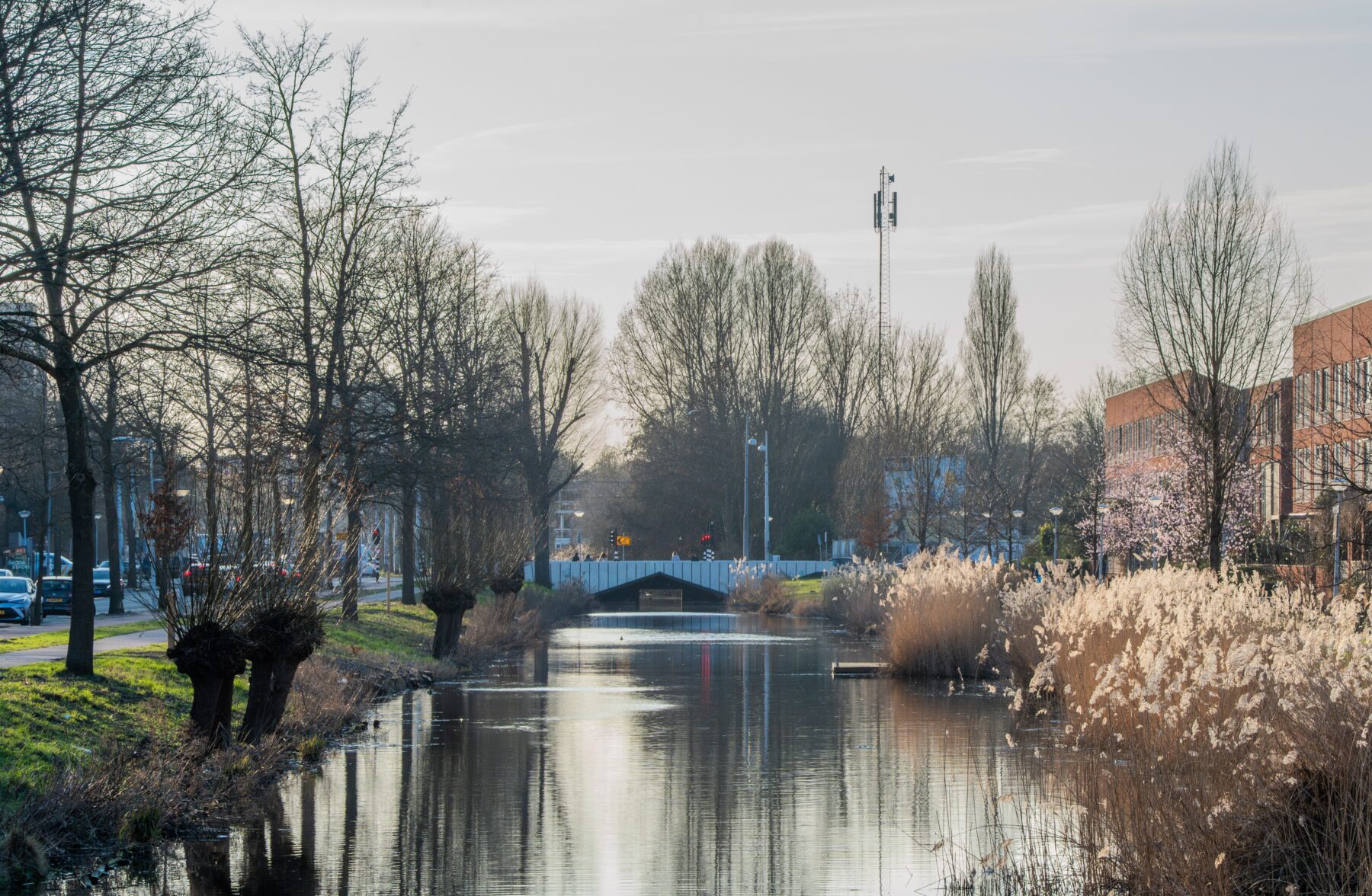 Zicht over het water op de Corry Tendeloobrug in Nieuw-West